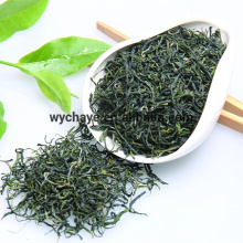 High Quality Best Selling China Green Tea Maofeng Green Tea